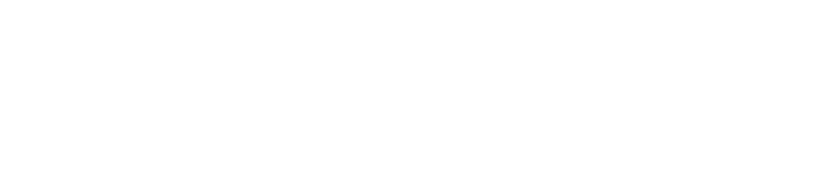 Chosen Store